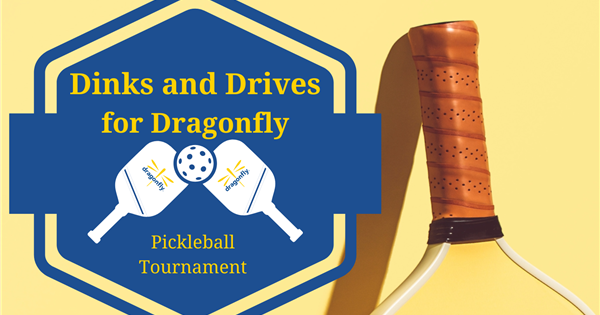 Dinks and Drives for Dragonfly logo