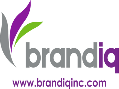 Brandiq logo