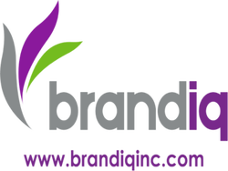 Brandiq logo