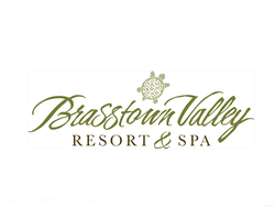 Brasstown Valley Golf logo