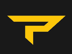 PADDLETEK logo