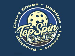 Top Spin logo