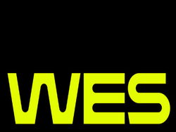 WES PICKLEBALL logo