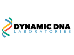 Dynamic DNA logo