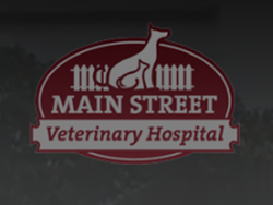 Main Street Veterinary logo