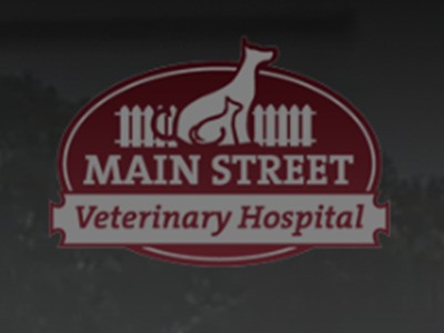 Main Street Veterinary logo