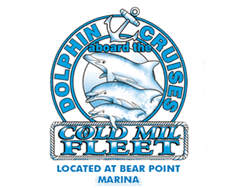 Dolphin Cruises logo