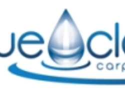 True CLean logo