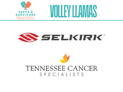Volley Llamas logo