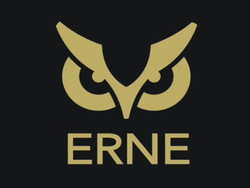 ERNE logo