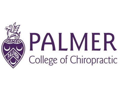 Palmer logo