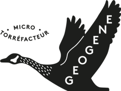 Geogene logo
