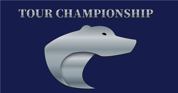True North Pickleball Tour Championship logo