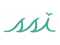ssi logo