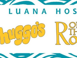 The Luana Group logo