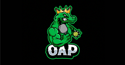 OAP Indoor Summer Tournament
