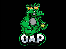 Orlando Advanced Pickleball logo