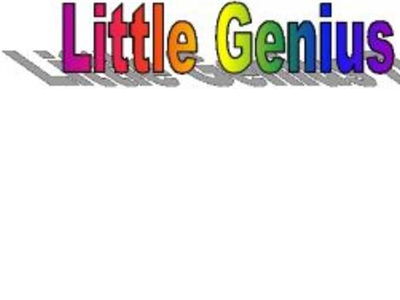 Little Genius Daycare Ltd logo