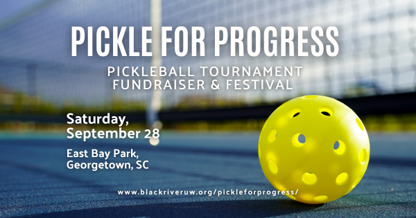 Pickle for Progress logo