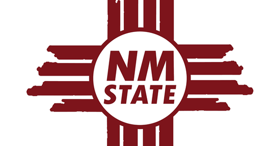 NM State University Paddles for Racquets