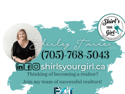 Shirley Turner logo