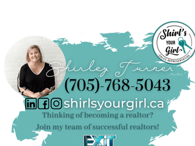 Shirley Turner logo