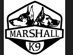 Marshall K9 logo