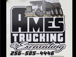 Dylan Ames Trucking and Excavating logo