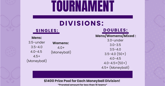 Janesville Open Pickleball Tournament