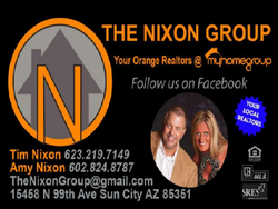 The Nixon Group logo