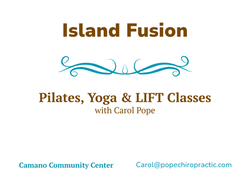 Island Fusion logo