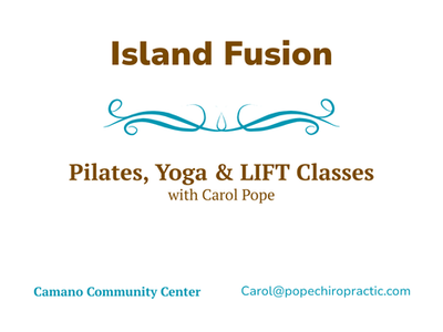 Island Fusion logo
