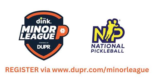 The Dink Minor League Pickleball @ NP Chicago Winter Classic ~ Illinois (MiLP) logo