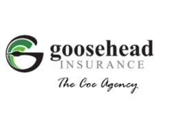 Goosehead Insurance logo