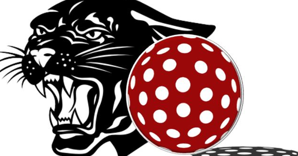 Christmas in July Parma Fundraiser logo