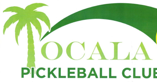 2024 Big Sun Pickleball Tournament logo