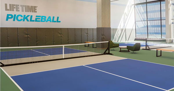 LIFETIME at SKY CoEd Doubles Pickleball Tournament logo