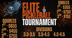 Elite Pickleball Tournament - 3.0, 3.5, 4.0, 4.5 - Cash/Prizes at all Divisions