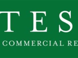 Tessa Commercial Real Estate logo