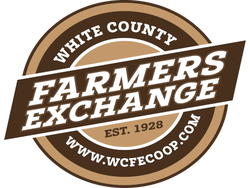 WCFE logo