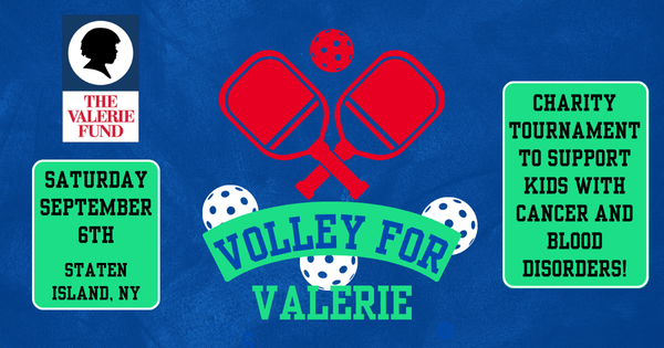 Volley For Valerie logo