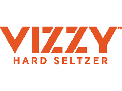 Vizzy logo