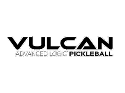 Vulcan VPRO Flight - Official Ball logo