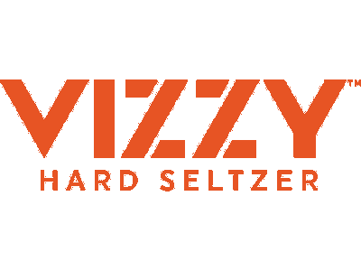 Vizzy logo