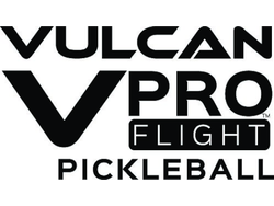 Vulcan VPRO Flight - Official Ball logo