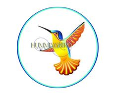 Hummingbird Yoga logo
