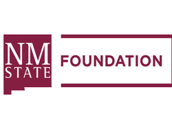 NM State Foundation logo