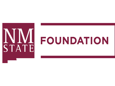 NM State Foundation logo