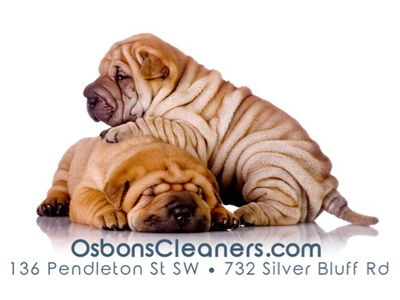 Osbon Cleaners logo