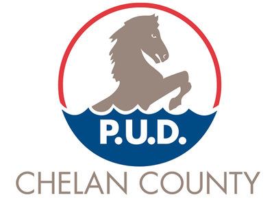 Presenting Sponsor logo